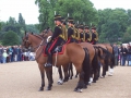 horse-guards