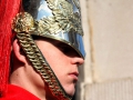 horse-guards_0