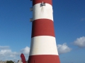 Symbol Plymouth Smeaton's Tower